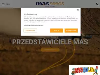 masseeds.pl