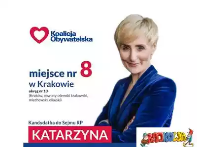 matusik-lipiec.pl