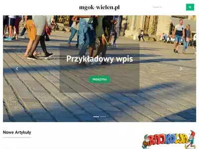 mgok-wielen.pl