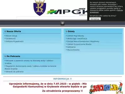 mpgk.grybow.ns48.pl