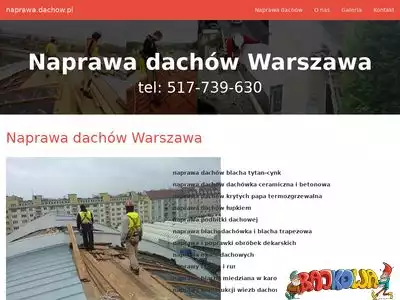 naprawa.dachow.pl