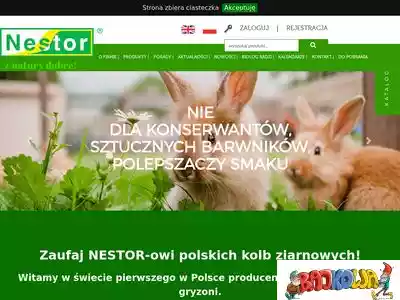 nestor.com.pl