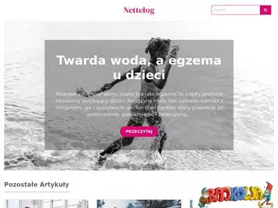 nettelog.pl