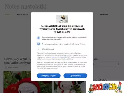 notesnastolatki.pl