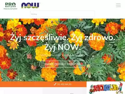 nowfoods.com.pl