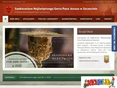 nspj.szczecin.pl