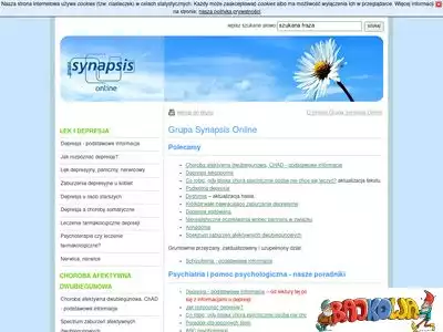 online.synapsis.pl