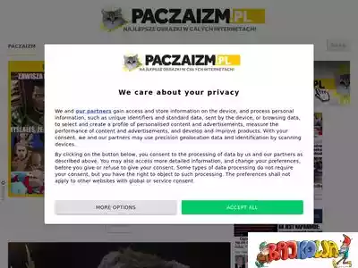 paczaizm.pl