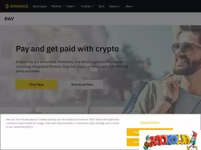 pay.binance.com