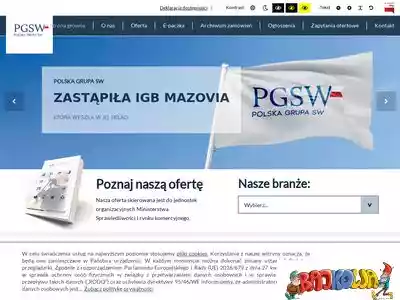 pgsw.pl