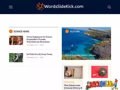 pl.wordssidekick.com