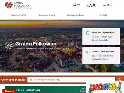 polkowice.eu