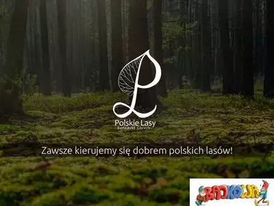 polskielasy.com