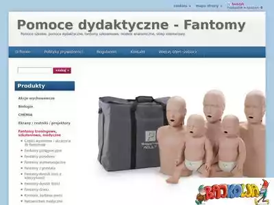 pomocedydaktycznemerikon.pl