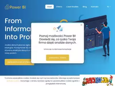 powerbi.pl