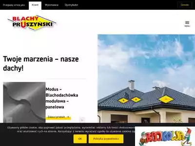 pruszynski.com.pl