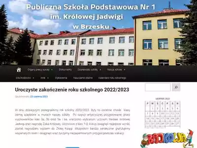 psp1.brzesko.pl