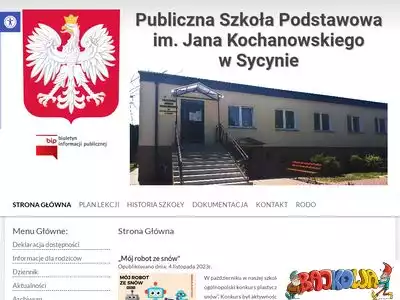 pspsycyna.pl