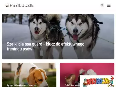 psyiludzie.pl