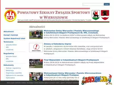 pszs.wieruszow.pl