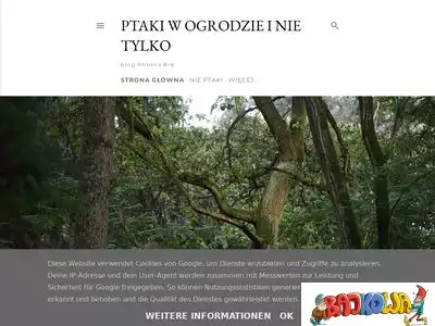 ptakiwgranowie.blogspot.com