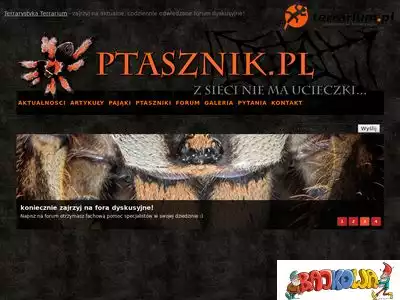 ptasznik.pl