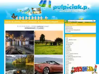 pulpiciak.pl