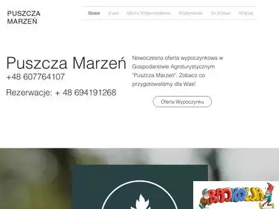 puszczamarzen.com