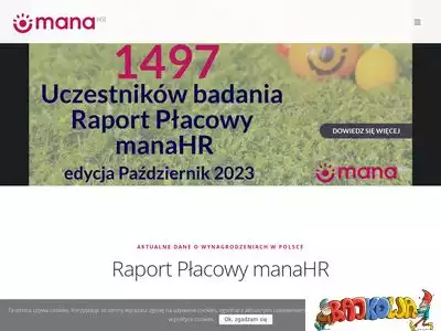 raportplacowy.pl