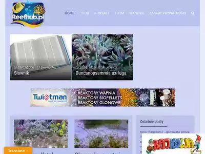 reefhub.pl