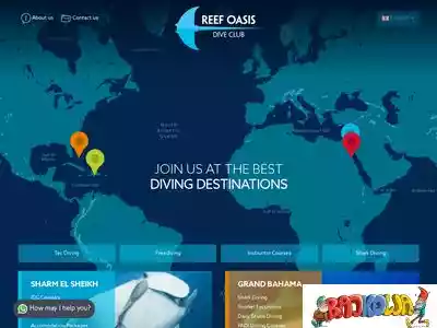 reefoasisdiveclub.com