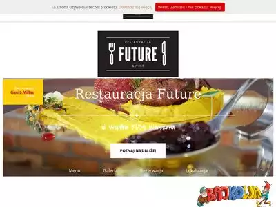 restauracjafuture.pl