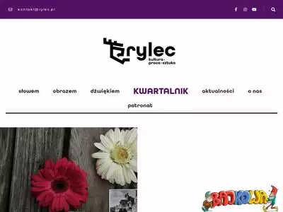 rylec.pl