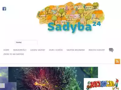 sadyba24.pl