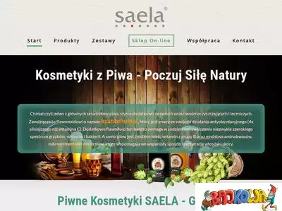 saela.pl