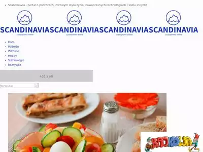 scandinavia.com.pl