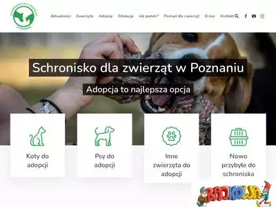 schronisko.com