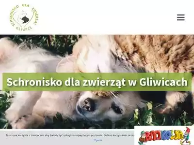 schronisko.gliwice.pl