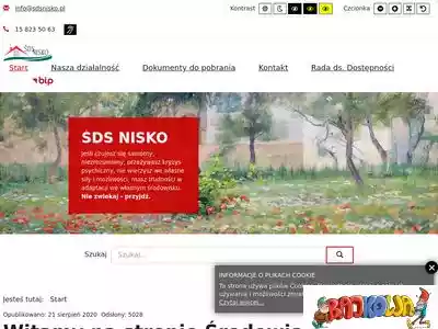 sdsnisko.pl