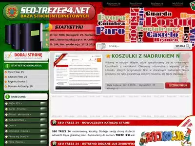 seo-treze24.net