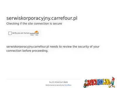 serwiskorporacyjny.carrefour.pl