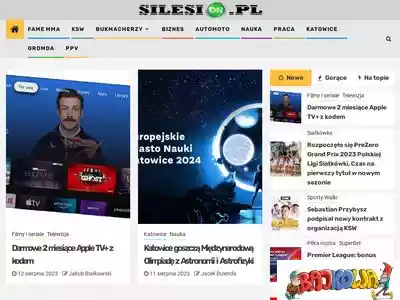 silesion.pl