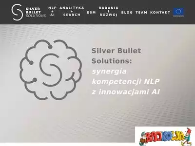 silverbulletsolutions.pl