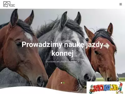 skj.radom.pl