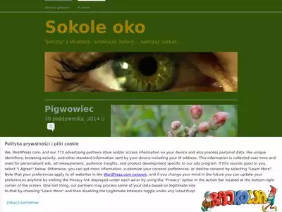 sokoleoko.wordpress.com