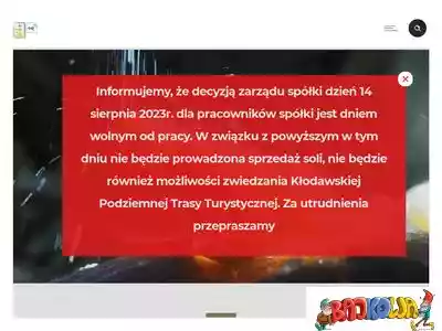 sol-klodawa.com.pl