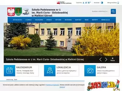 sp1.malkiniagorna.pl