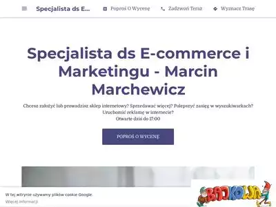 specjalista-e-commerce-i-marketingu.business.site