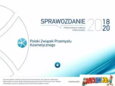 sprawozdanie.kosmetyczni.pl