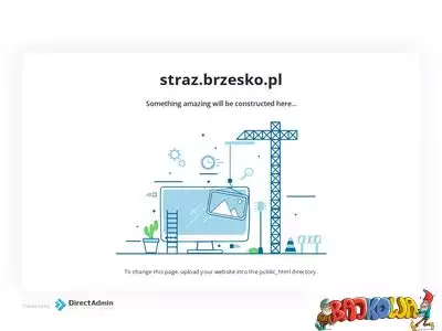 straz.brzesko.pl